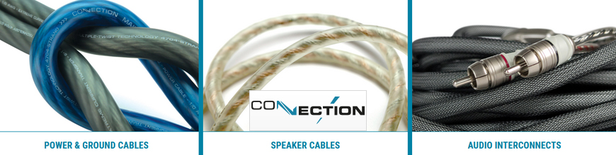 Category Connection image