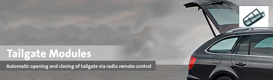 Tailgate Modules