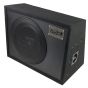 AUDIO SYSTEM R 12 FLAT G ACTIVE EVO 30cm 200W DIY active subwoofer box 