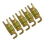 maxxcount 80A MINI ANL Sicherung Gold (5 Stück)