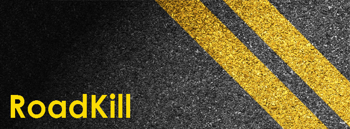 Stinger RoadKill insulation material